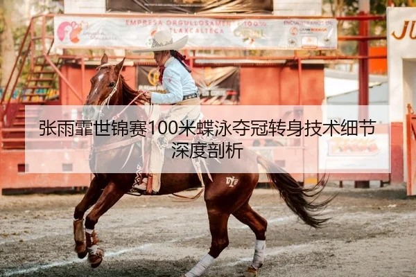 张雨霏世锦赛100米蝶泳夺冠转身技术细节深度剖析