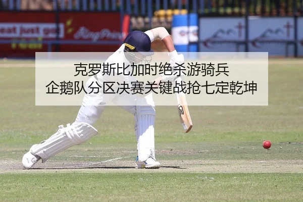 克罗斯比加时绝杀游骑兵 企鹅队分区决赛关键战抢七定乾坤